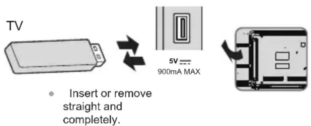 PANASONIC TX24LS500E - Inserting / Removing the USB Flash Memory - 1