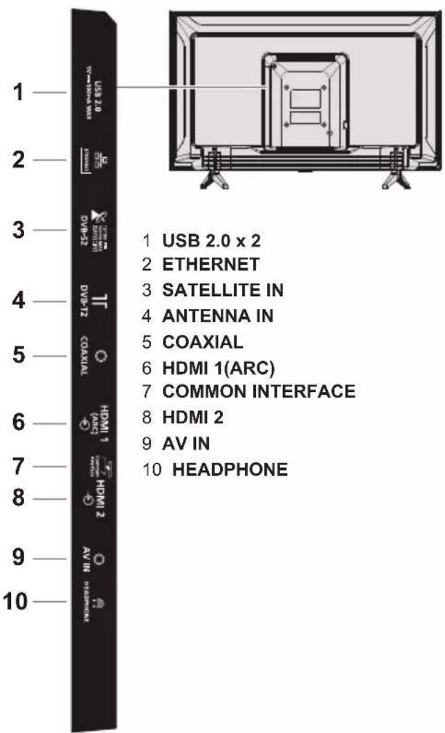 PANASONIC TX24LS500E - Terminals - 1