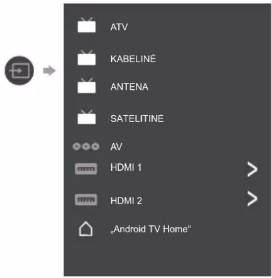 PANASONIC TX24LS500E - Išorinių įėjimų stebėjimas - 1