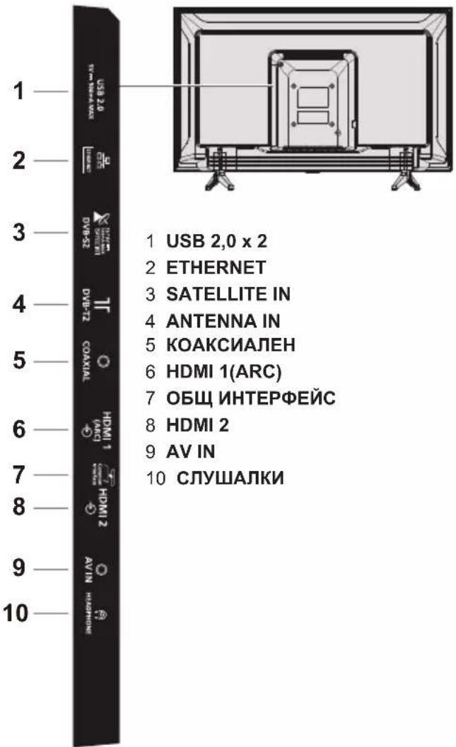 PANASONIC TX24LS500E - Клеми - 1