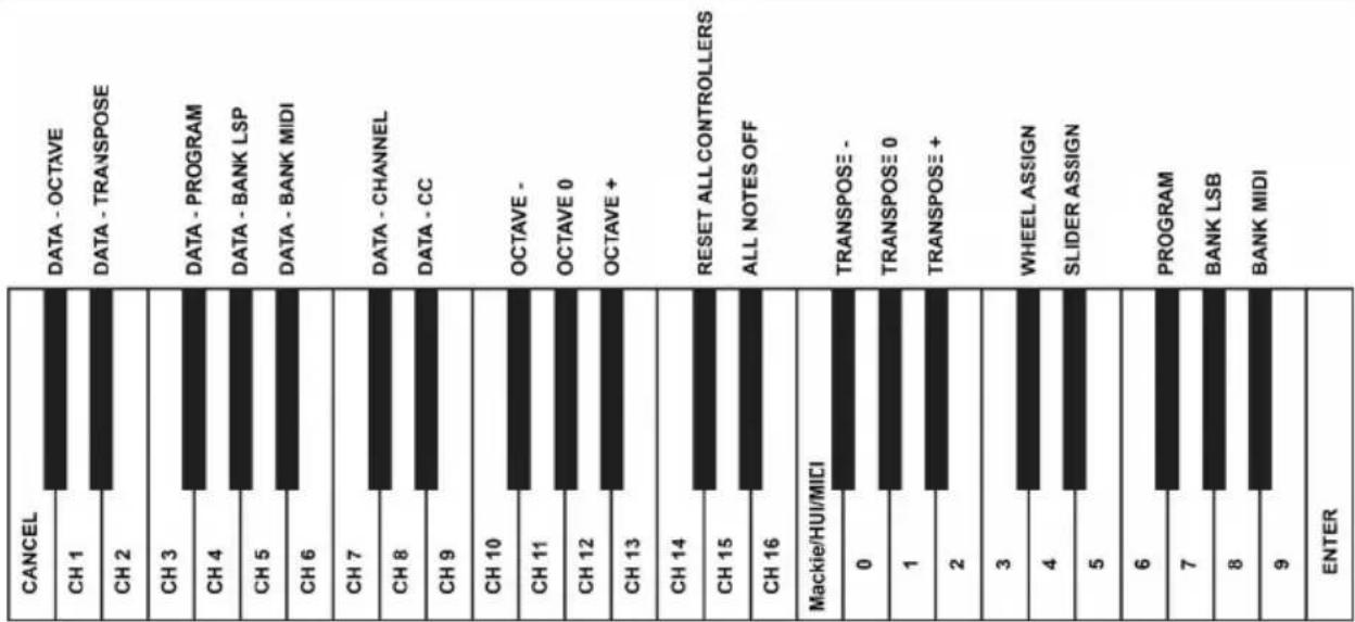 M-AUDIO Keystation 49es MK2 - Rückseite - 2