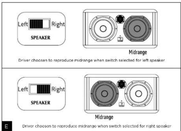 FOCAL Solo6 Be 40th - Conditions of warranty - 5