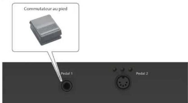 ROLAND FPE50 - Connexion du commutateur au pied inclus - 1