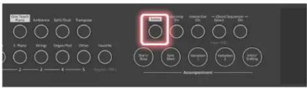 ROLAND FPE50 - Appuyez sur le bouton [scene] - 1