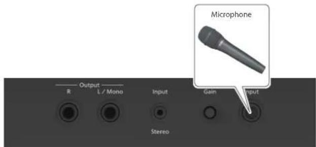 ROLAND FPE50 - Connectez un micro à la prise d'entrée micro. - 1