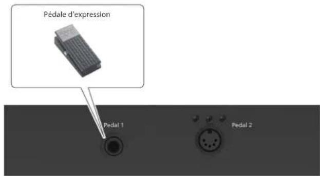 ROLAND FPE50 - Connexion de la pédale d'expression - 1