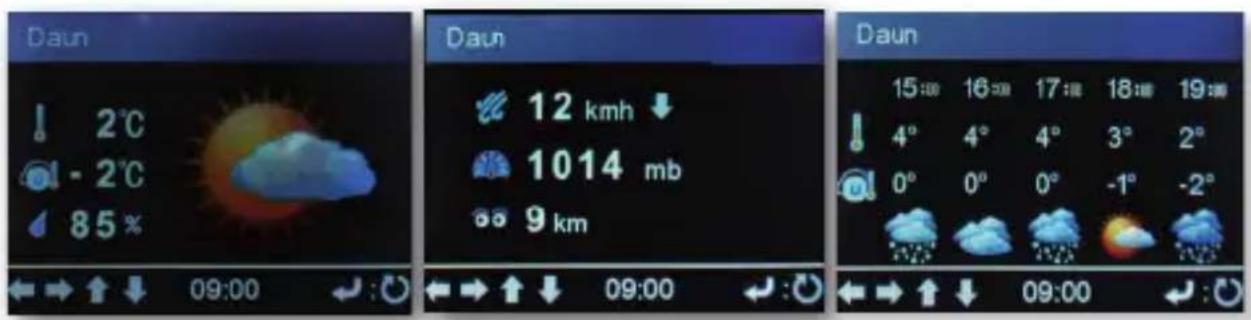 Imperial DABMAN i210 CD - Wetterinformationen - 1