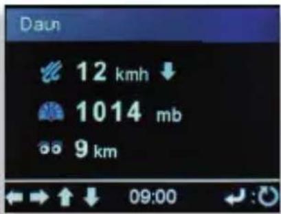 Imperial DABMAN i210 CD - Informazioni meteo - 2