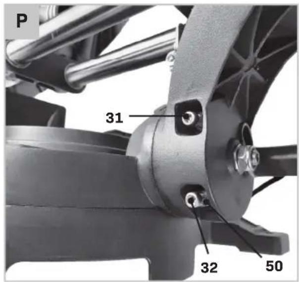 P 31 32 50