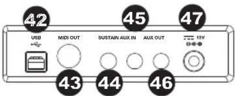 ALESIS Coda - Rückseite - 1