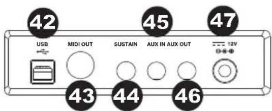 ALESIS Coda - Panneau arrière - 1
