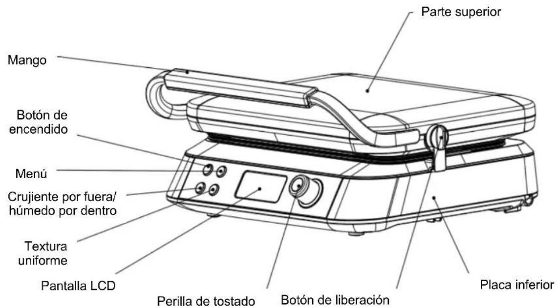 H.KOENIG GFX800 - 1