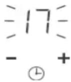 ROSIERES R2MTSJ68MCWIFI - a) Using the Timer as a Minute Minder - 3