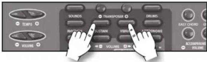 BONTEMPI i Music 15 3790 - Sustain - 1