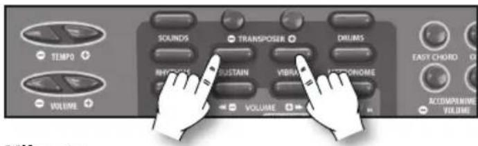 BONTEMPI i Music 15 3790 - Sustain - 1