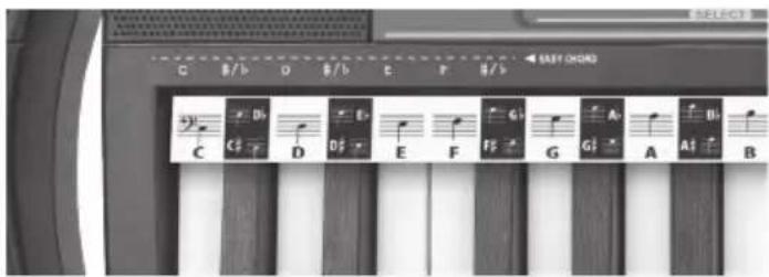 BONTEMPI i Music 15 3790 - AKORDID - 1
