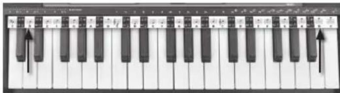 BONTEMPI i Music 15 3790 - STAVE STRIP - 1