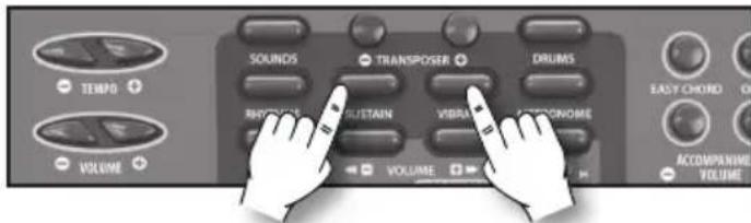 BONTEMPI i Music 15 3790 - Sustain - 1