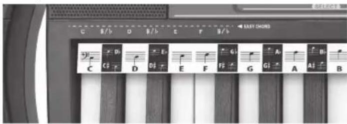 BONTEMPI i Music 15 3790 - ACORDURILE - 1