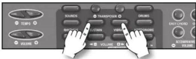 BONTEMPI i Music 15 3790 - Sustain - 1