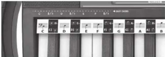 BONTEMPI i Music 15 3790 - AKORDY - 1