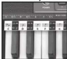 BONTEMPI i Music 15 3790 - EASY CHORD - 1
