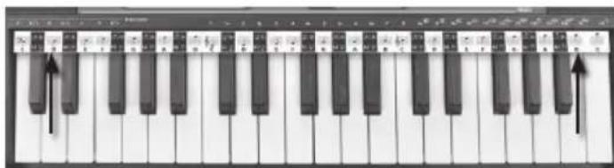 BONTEMPI i Music 15 3790 - ΑΛΥΣΙΔΑ ΠΕΝΤΑΓΡΑΜΜΟ - 1