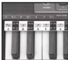 BONTEMPI i Music 15 3790 - EASY CHORD - 1
