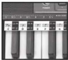 BONTEMPI i Music 15 3790 - EASY CHORD - 1