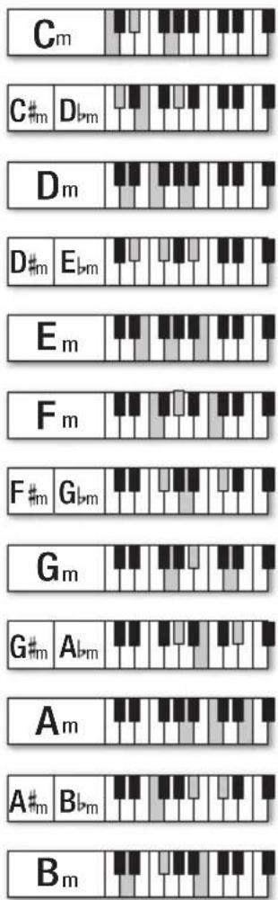 BONTEMPI i Music 15 3790 - LA MELODIA - 1