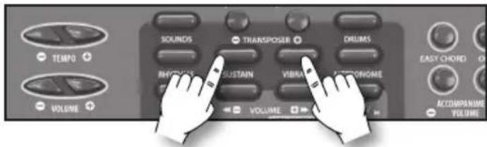 BONTEMPI i Music 15 3790 - Sustain - 1