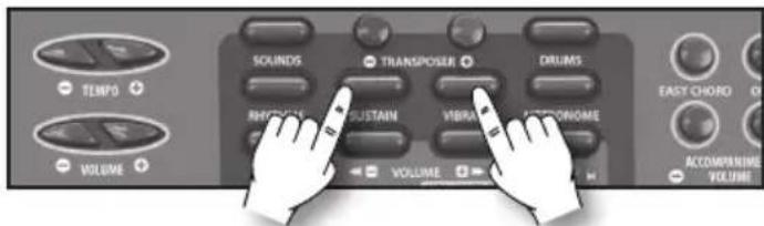 BONTEMPI i Music 15 3790 - Sustain - 1
