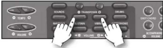BONTEMPI i Music 15 3790 - Sustain - 1