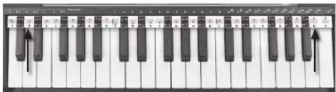 BONTEMPI i Music 15 3790 - LÍNEA DEL PENTAGRAMA - 1