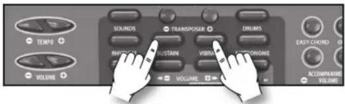 BONTEMPI i Music 15 3790 - Sustain - 1