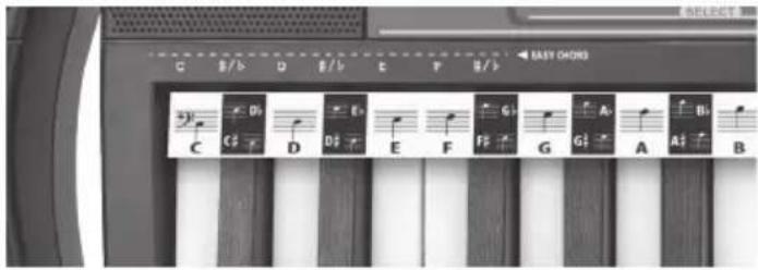 BONTEMPI i Music 15 3790 - LOS ACORDES - 1