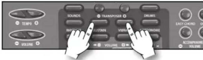 BONTEMPI i Music 15 3790 - Sustain - 1