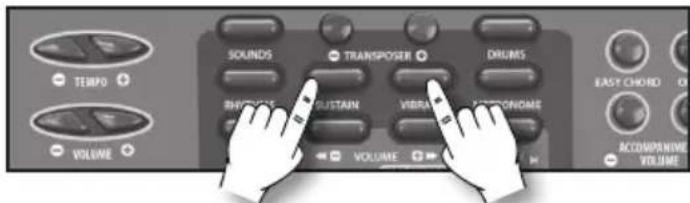BONTEMPI i Music 15 3790 - Sustain - 1