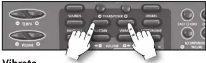 BONTEMPI i Music 15 3790 - Sustain - 1