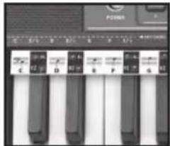 BONTEMPI i Music 15 3790 - EASY CHORD - 1