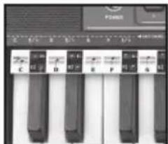 BONTEMPI i Music 15 3790 - EASY CHORD - 1