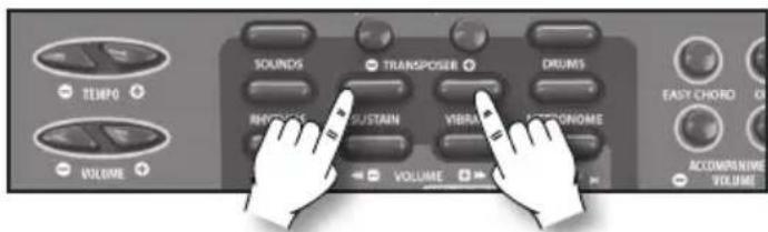 BONTEMPI i Music 15 3790 - Sustain - 1
