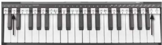 BONTEMPI i Music 15 3790 - STIALL CLIATHNODAIREACHTA - 1