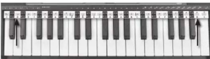 BONTEMPI i Music 15 3790 - NOTRAD - 1