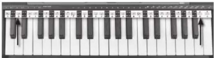 BONTEMPI i Music 15 3790 - NOTENBALKSTRIP - 1