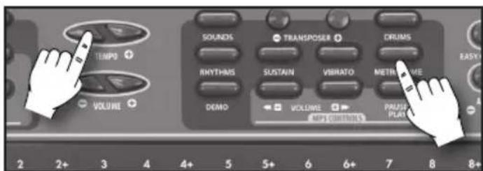 BONTEMPI i Music 15 3790 - LE METRONOME - 1