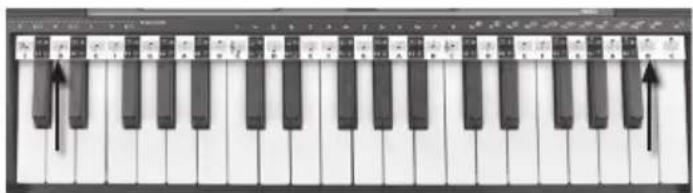 BONTEMPI i Music 15 3790 - BARRA DE PENTRAGRAMA - 1