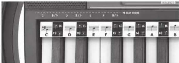 BONTEMPI i Music 15 3790 - AKORDI - 1