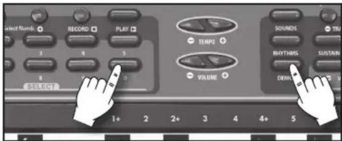 BONTEMPI i Music 15 3790 - DEMO - Pieza demostrativa - 1