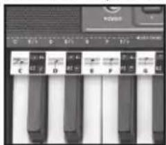 BONTEMPI i Music 15 3790 - EASY CHORD - 1